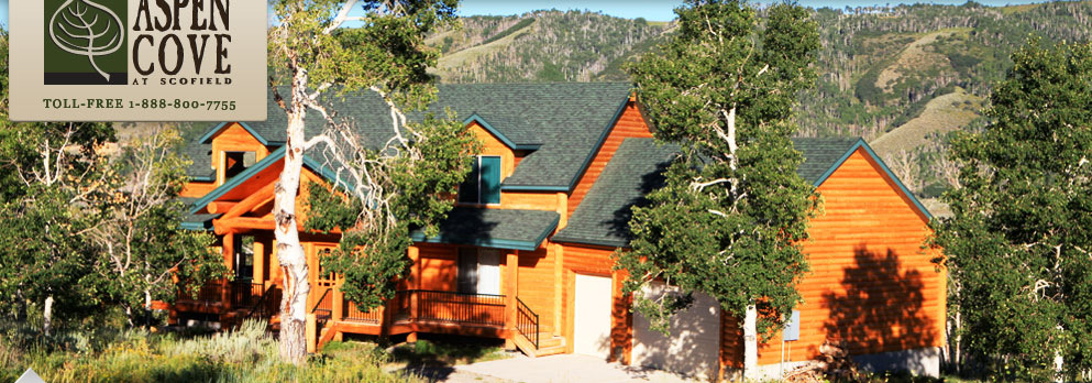 Utah Cabins For Sale | Utah Cabin Property | Aspen Cove at Scofield